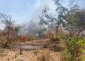 Corpo de Bombeiros combate incêndio em vegetação em Valença do Piauí