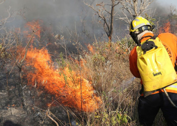 Piauí registra mais de 3 mil focos de incêndio nos primeiros 15 dias de outubro, diz INPE