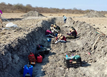 Pesquisadores da UFPI localizam fósseis de Preguiça Gigante no interior do Piauí
