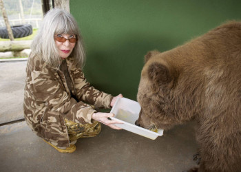No Piauí, Rita Lee se inspirou na história de ursa para escrever livro infantil; relembre