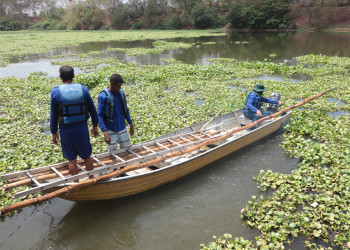 Prefeitura inicia operação para o controle de aguapés no Rio Poti em Teresina