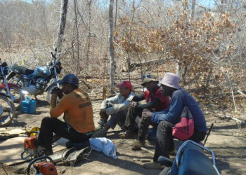 Piauí tem mais de 15 nomes na lista suja do trabalho escravo; confira