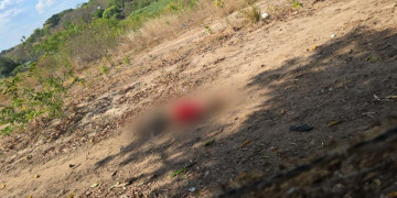 Jovem é executado a tiros em Água Branca, interior do Piauí; polícia investiga