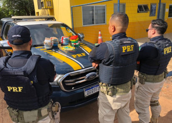 PRF apreende 14 kg de cocaína dentro de veículo no Piauí; condutor é preso