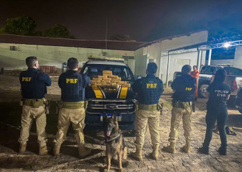 Com auxílio de cão farejador, PRF aprende drogas avaliadas em R$ 2,4 milhões no Piauí