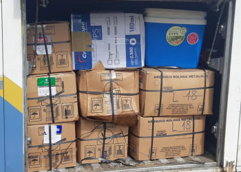 No Piauí, PRF apreende 1,4 tonelada de camarões transportados em caixas de papelão