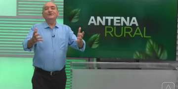 Produção de vassouras artesanais, criação de tambaquis e muito mais: assista ao Antena Rural deste domingo (26)