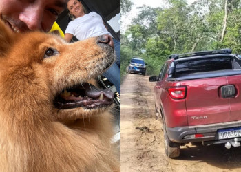 Carro de empresário é roubado em Teresina com cadela dentro e animal é resgatado em cidade a 84 km