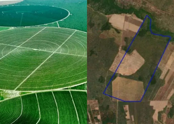 Com lance inicial de R$ 6,6 milhões, fazenda de 358 hectares no Sul do Piauí vai a leilão