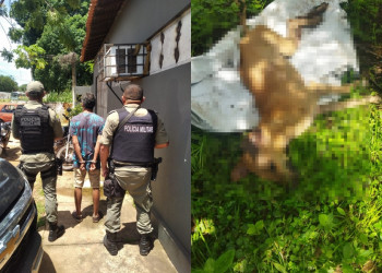Homem é preso suspeito de estuprar e matar cadela em Miguel Alves, no Piauí