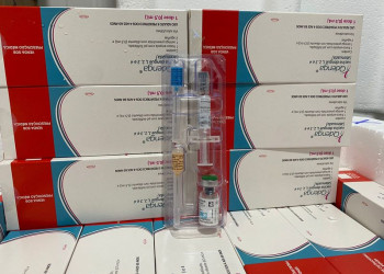 Sesapi capacita municípios do Piauí e realiza distribuição de vacina contra a dengue
