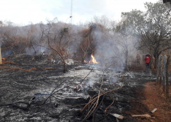 Incêndio de grande proporção atinge vegetação e animais morrem queimados no interior do Piauí