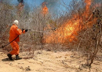 Piauí registra mais de 170 focos de incêndio em 24 horas; estado ocupa terceira posição do país