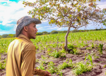 Agricultores de mais 30 municípios do Piauí serão beneficiados com pagamento do Garantia Safra