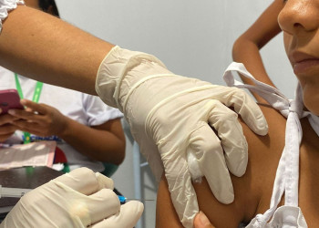 Piauí vai receber mais 100 mil novas doses para reforçar vacinação contra a gripe