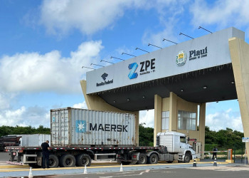 ZPE Piauí recebe 8,7 toneladas de insumos da China para indústria de cera de carnaúba