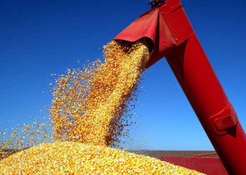 Piauí terá o sétimo ano seguido de recorde na produção de grãos, aponta IBGE