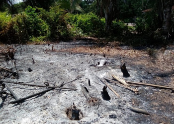 Defesa Civil alerta para período de queimadas em Teresina e na zona rural