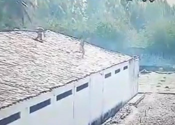 Vídeo mostra detentos tentando fugir de penitenciária em Parnaíba; assista