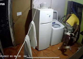 Suspeito invade casa, é atacado por cachorro da família, e pede para ser levado ao hospital no Piauí