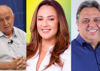 Confira quais foram os deputados federais eleitos no Piauí