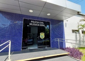 Polícia Civil cria Delegacia Especializada na Defesa de Bens e Serviços Públicos no Piauí