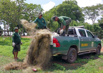 No Piauí, Ibama apreende 13 mil metros de rede de pesca ilegal