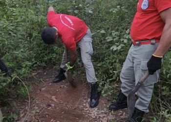 Polícia encontra ossada humana que pode ser de homem desaparecido há 1 ano no Piauí