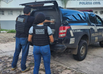 Acusado de violência doméstica em Teresina é preso pela polícia no Maranhão