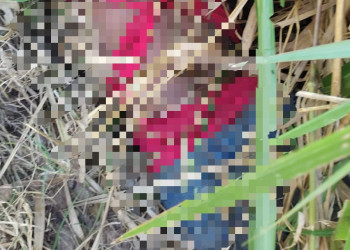 Corpo de mulher é encontrado com marcas de espancamento na BR-316, em Teresina