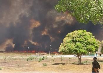 Incêndio de grandes proporções é registrado na região Sul do Piauí; vídeo