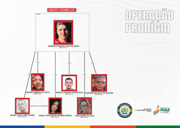 Operação Prodígio no Piauí: confira quem são os 30 presos e como eles agiam no esquema milionário
