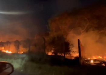 No Piauí, incêndio de grandes proporções é controlado após atingir área de 400 hectares; vídeo