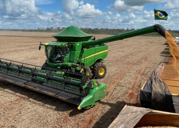 Soja do Piauí ultrapassa os R$ 8 bilhões em valor de produção agrícola, diz IBGE