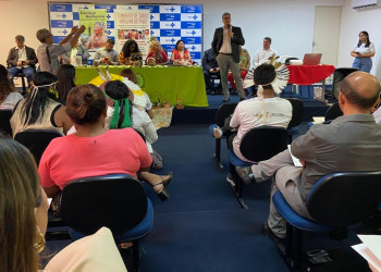Governo do Estado debate ações para intensificar a saúde indígena no Piauí