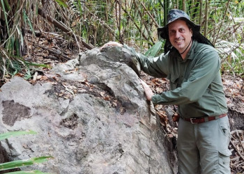 Mais antigo que os dinossauros, tronco de árvore fossilizado é encontrado no interior do Piauí