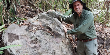 Mais antigo que os dinossauros, tronco de árvore fossilizado é encontrado no interior do Piauí