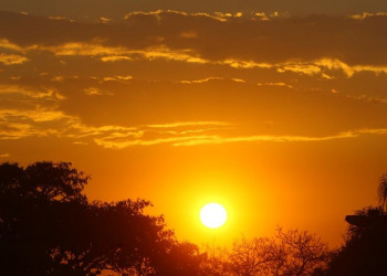 Municípios do Piauí podem sofrer onda de calor nos próximos 3 dias, prevê Inmet