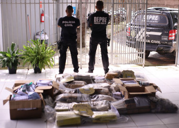 Quase meia tonelada de drogas foi apreendida pelo Denarc em 2023 no Piauí, diz PC