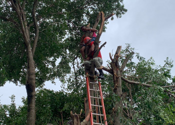 Jovem é resgatado após sofrer descarga elétrica durante poda de árvore no Piauí; vídeo!