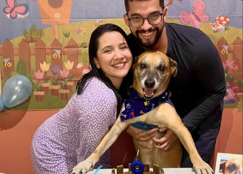 Casal comemora 9 anos de cachorro com festa de aniversário em Teresina: “foi amor à primeira vista”