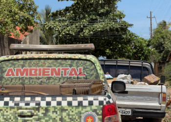 Prefeitura de Parnaíba apoia ação da Polícia Militar em flagrante de descarte irregular