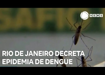 Governo do Rio de Janeiro decreta epidemia de dengue