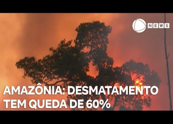 Desmatamento na Amazônia tem queda de 60% em janeiro