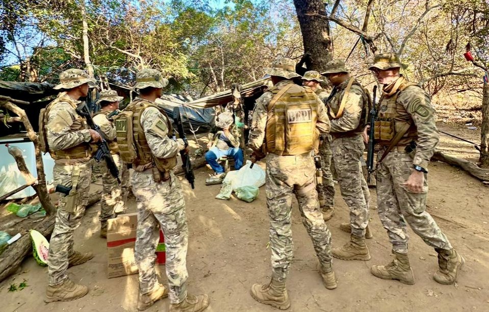 PM localiza roça de maconha com cerca de 5 hectares no Piauí; Produção chegava a 20 toneladas