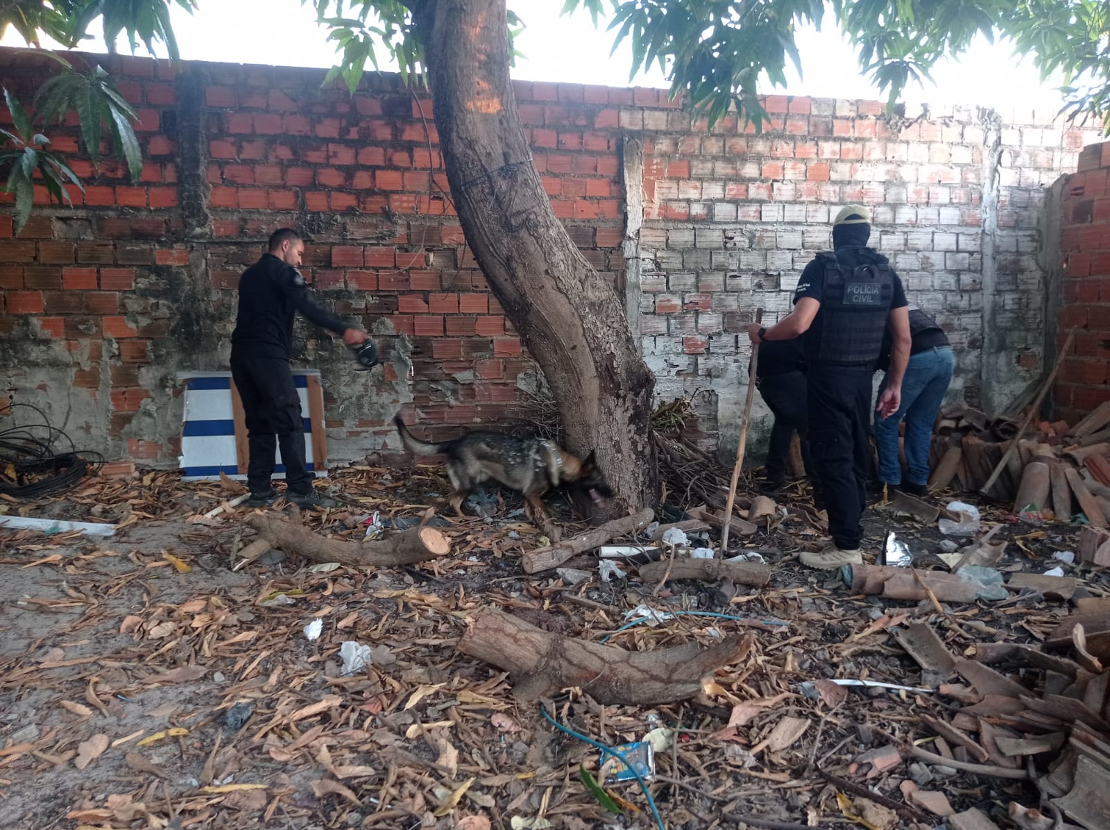 Operação Cerco Fechado