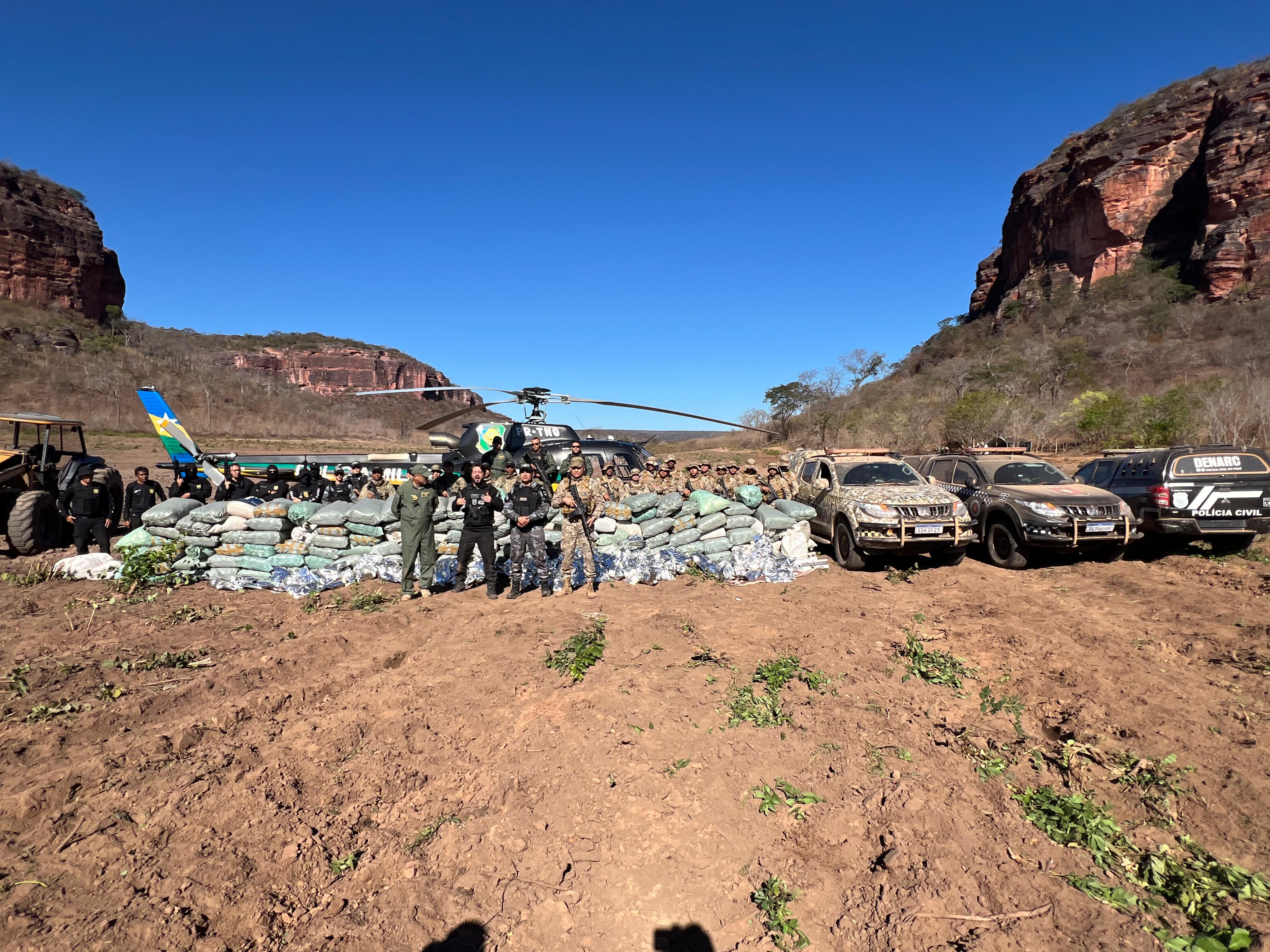 Polícia desarticula plantação de 5 hectares com 130 mil pés de maconha no Sul do Piauí
