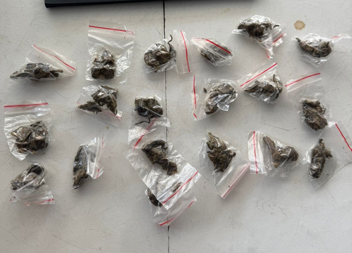 Três homens são presos com drogas durante operação na zona Sudeste de Teresina