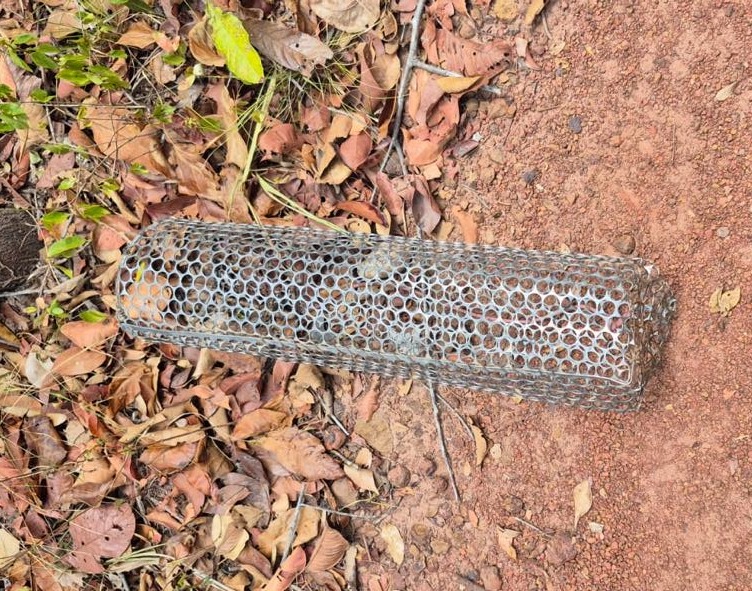 Polícia Militar resgata aves silvestres e cutias em José de Freitas, no Piauí