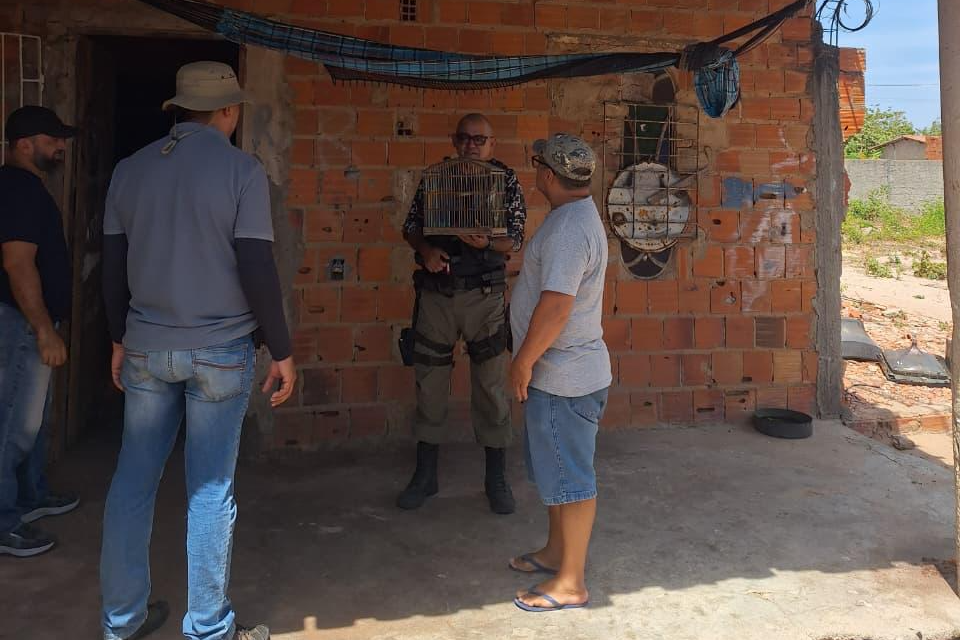 Homem é autuado por manter animais silvestres em cativeiro no litoral do Piauí